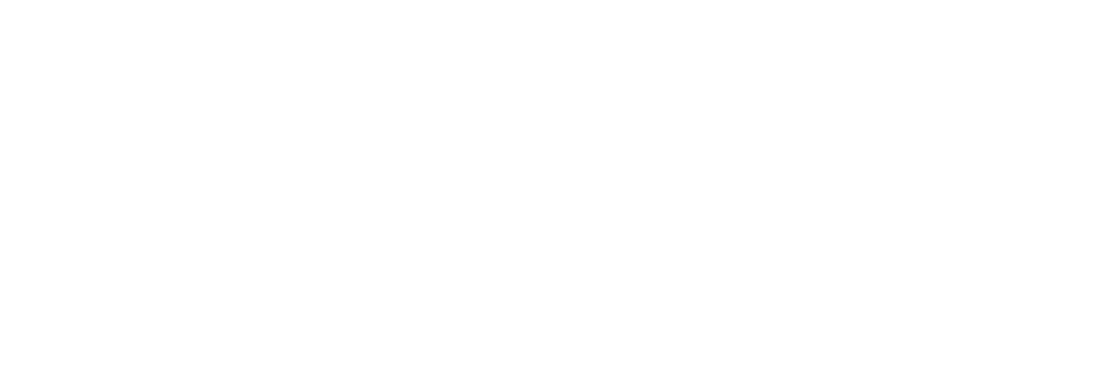 bias bina logo